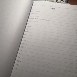 《风与飞鸟》（风引编）